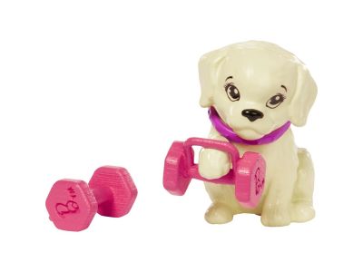 Mattel Barbie Wellness - Ημέρα Ομορφιάς Doll - Workout GKH73 / HKT91