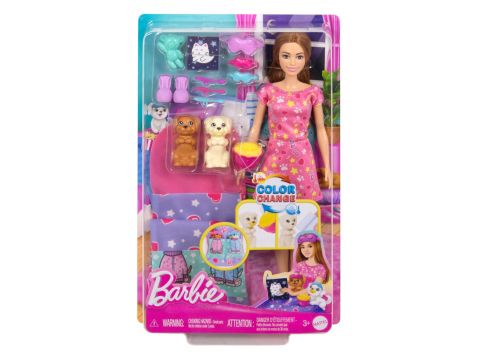 Mattel Barbie Sleepover Με Κουταβάκια HXN01