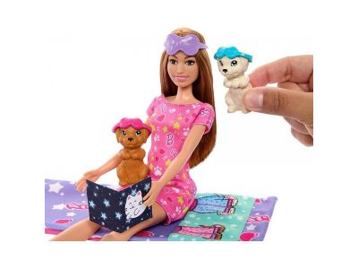 Mattel Barbie Sleepover Με Κουταβάκια HXN01